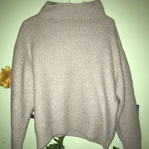 Aritzia Sweater